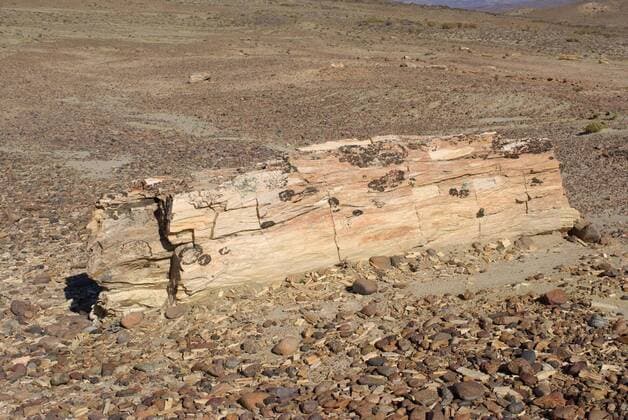 Creative Highlights World Petrified wood in the petrified forest of Sarmiento in Patagonia, in Argentina , 14348926.jpg, america, ancient, argentina, arid, desert, forest, fossil, fossilized, geological, geology, landscape, mineral, national, nature, outdoor, paleobotany, park, patagonia, petrifaction, petrification, petrified, sarmiento, scenery, site, south, stone, transformation, trunk, wild, wilderness, wood,