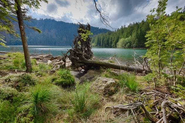 Glacial Black Lake surrounded by the forest in South Bohemia , 14371360.jpg, autumn, beautiful, beauty, bright, calm, clear, cloud, Cerne jezero, country, Sumava, environment, fall, forest, National Park, green, horizon, lake, landmark, landscape, mountain, mountains, natural, nature, outdoor, outdoors, panorama, panoramic, plant, pond, reflection, river, rock, rural, scene, scenery, scenic, season, shore, sky, spring, summer, sunlight, surface, tranquil, tree, Czech Republic, glacial, water, wood, woods,