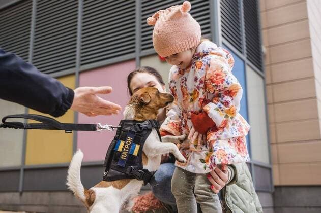 Patron - the Ukrainian bomb disposal squads? tiniest canine member visiting Kyiv?s children?s hospital on Thursday (28April2022). The heroic hound, who has become something of a mascot to Chernihiv?s pyrotechnics teams cheered up the kids there as well as delivering a message on safety during wartime. The war will surely end, and every boy and girl who will finally be able to walk freely on their favourite streets should know that the enemy has left behind many insidious gifts , Ukrainian officials from the State Emergency Service (SES) said of Patron?s current mission. That is why the SES Emergency Prevention Specialists conducted this important security event. Where: Kyiv, Kyiv Oblast, Ukraine When: 28 Apr 2022 Copyright: xx 51469264 EDITORIAL USE ONLY. NOT FOR USE BY NEWSPAPERS BASED IN THE UK.