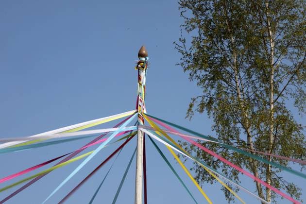1.Mai 01.05.2022, Ostramondra, Maifeiertag, bunte Baender werden um den Maibaum gewickelt *** 1 May 01 05 2022, Ostramondra, May Day, colorful ribbons are wrapped around the maypole.