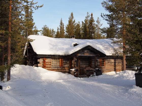 Snow-covered log cabin in a holiday resort in Yllas, Lapland, Finland. , 2362031.jpg, snow, chalet, winter, log cabin, lapland, forest, snowy, scenic, wood, hut, traditional, house, cottage, nature, alpine, tree, spruce, fir, covered, village, finland, scandinavia, snow-covered, finnish, resort, holiday, vacation, sweden, tourism, travel, Yllas, buried, christmas, fresh, building, YllÃ¯Â¿Â½, holiday, skiing, chalet, house, home, wooden,