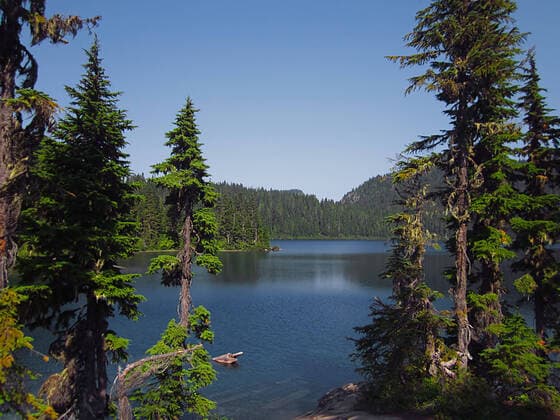 Creative Highlights World A photograph of mountain scenery. , 2872545.jpg, alpine, creek, country, countryside, environment, fir, forest, forestland, green, lake, landscape, mountain, mountainous, nature, natural, non-urban, outdoor, outside, park, parkland, pine, river, rural, scenic, scenery, season, seasonal, spring, springtime, summer, summertime, tree, water, waterway, woods, woodland,
