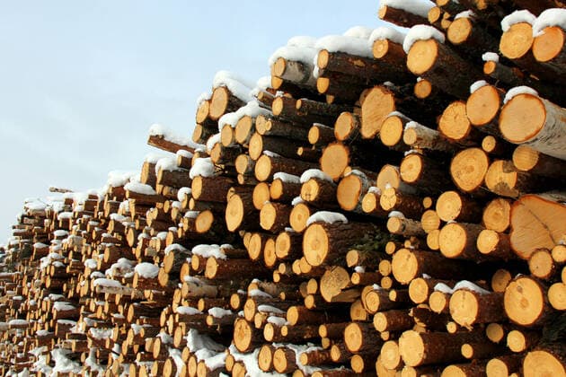 IMAGO Nature: Unsere Erde, Energiequellen, Biomasse A large stack of timber logs of different species of trees, eg. pine and birch. Photographed in Salo, Finland in February 2011. , 1895365.jpg, wood, logs, timber, tree, trunk, forestry, background, lumber, energy, industry, winter, snow, birch, pine, pulp, woodfuel, fuel, agriculture, nature, stack, wooden, pile, softwood, blue, pulpwood, sky, bioenergy, firewood, ecology, cut, environment, trees, material, brown, power, conifer, natural, sustainable, stacked, renewable, white, resource, rural, hardwood, organic, heat, texture, raw, chopped, pattern,