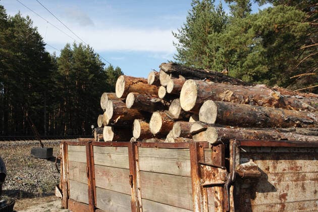 IMAGO Creative: Business, Inflation und Lieferketten Loading logs of trees in the forest, background , 2308539.jpg, abstract, background, bark, branches, brown, cargo, cut, energy, firewood, forest, forestry, fuel, heap, heavy, industrial, industry, load, log, logging, logs, lumber, machine, material, materials, natural, nature, old, pieces, pile, pine, raw, renewable, resource, saw, split, stack, stacked, texture, timber, traditional, transport, transportation, tree, trees, truck, trunk, wood, wooden, woodpile, work,