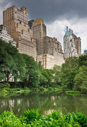 Creative Highlights World A pond in central park with high rise buildings behind it in New York City , 2545353.jpg, apartment, apartments, architecture, big, building, buildings, central, city, cityscape, cloud, clouds, cloudy, green, high, highrise, highrises, lake, lakes, landscape, landscapes, leaf, leaves, manhattan, nature, new, nyc, outdoors, outside, park, parks, pond, ponds, reflection, reflections, rise, scene, scenic, skyscraper, skyscrapers, stone, tall, tower, towers, tree, trees, urban, water, york,