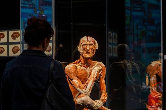 Bilder des Jahres 2022, Entertainment 05 Mai Entertainment Themen der Woche KW18 Entertainment Bilder des Tages News Bilder des Tages Ausstellung Mehr als 50 Millionen Menschen rund um den Globus hat die Ausstellung schon begeistert. Nun kommt sie nach acht Jahren mit einer Deutschlandpremiere in die sächsische Landeshauptstadt zurück. Vom 6. Mai bis 4. September präsentieren Plastinator Dr. Gunther von Hagens und Kuratorin Dr. Angelina Whalley ihre neueste Ausstellung in der ZEITENSTRÖMUNG in Dresden: KÖRPERWELTEN Am Puls der Zeit. Die aktuelle Schau ermöglicht einen umfassenden Einblick in die Anatomie und Physiologie des menschlichen Körpers, erläutert leicht verständlich Körper- und Organfunktionen sowie häufige zivilisationsbedingte Erkrankungen und ihre Entstehung. Sie zeigt den menschlichen Körper in vielen Facetten, seine Verwundbarkeit