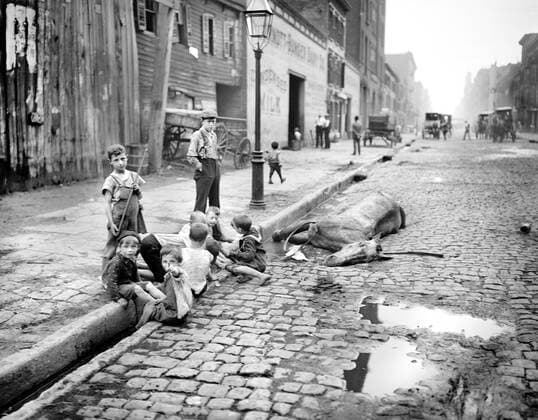Street Scene, Group of Children near dead horse on Cobblestone Street, New York City, New York, USA, Detroit Publishing Company, early 1900 s  Copyright: xCircaxImagesx ghi-circa11069