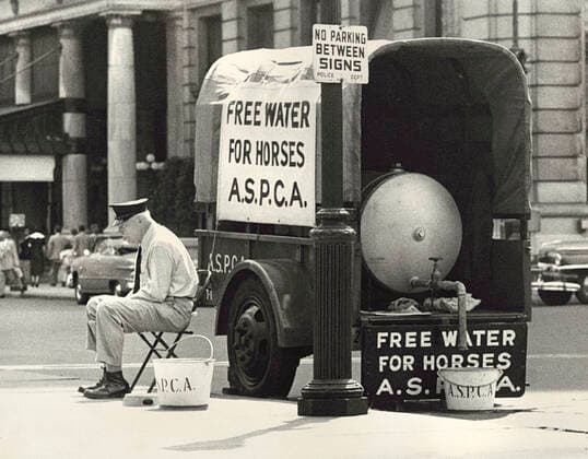 Archivbilder der Woche KW19 Man sitting on Chair near Wagon with Water Tank in back to provide horses with free water by the American Society for the Prevention of Cruelty to Animals, Sign on trailer reads Free water for horses, A.S.P.C.A. , New York City, New York, USA, Angelo Rizzuto, Anthony Angel Collection, July 1952  Copyright: xCircaxImagesx ghi-circa11083