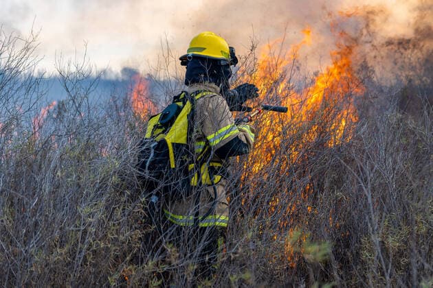 IMAGO Creative: Lokalhelden - Gesundheits- und Rettungskräfte firefighters putting out forest fire Argentina, Santiago del Estero Province, Argentina CR_CRCR210915C0-833158-01
