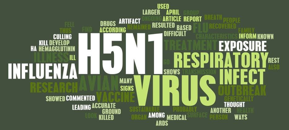 H5N1 Concept as a Medical Research Topic , 16033216.jpg, h5n1, bird flu, flu, bird, concept, medical, research, topic, treatment, avian, influenza, avian influenza, subtype, strain, infection, infectious, vaccine, vaccination, text, pandemic, outbreak, contain, containing, containment, awareness, medicine, abstract, background, virus, health, healthcare, prevent, prevention, immunity, sickness, danger, exposure, respiratory, illness, control, conceptual, illness, mutation, mutated, asia, spread, spreading, strain, strains, information, news,