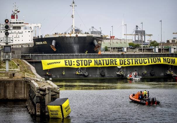 Bilder des Jahres 2022, News 05 Mai News Bilder des Tages 2022-05-11 10:51:57 IJMUIDEN - Activists from Europe and Brazil, together with Greenpeace Netherlands, have blocked the Noordersluis in IJmuiden. As a result, a 225 meter long ship, the Crimson Ace, is now stuck in the lock. The Crimson Ace has 60 million kilos of soy from Brazil on board. KOEN VAN WEEL netherlands out - belgium out *** 2022 05 11 10 51 57 IJMUIDEN Activists from Europe and Brazil, together with Greenpeace Netherlands, have blocked the Noordersluis in IJmuiden As a result, a 225 meter long ship, the Crimson Ace, is now stuck in the lock The Crimson Ace has 60 million kilos of soy from Brazil on board KOEN VAN WEEL netherlands out belgium out  Copyright: xx x448379691x originalFilename: 448379691.jpg