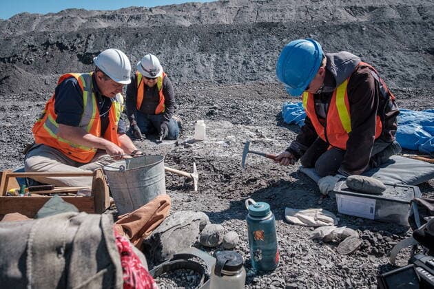 May 11, 2022, Lethbridge, AB, Canada: Technicians from the Royal Tyrell Museum of Palaeontology, Darren Tanke, (left to right) Mark Mitchell and Dawson Lambert work on preserving a mosasaur fossil, Wednesday, May 11, 2022, at the KORITE mine south of Lethbridge, Alta. Lethbridge Canada - ZUMAc35_ 20220511_zaf_c35_097 Copyright: xDavidxRossiterx