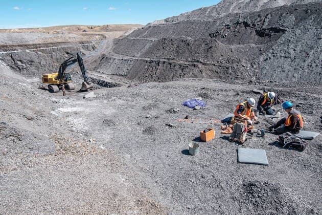 May 11, 2022, Lethbridge, AB, Canada: Technicians from the Royal Tyrell Museum of Palaeontology, Darren Tanke, (left to right) Mark Mitchell and Dawson Lambert work on preserving a mosasaur fossil, Wednesday, May 11, 2022, at the KORITE mine south of Lethbridge, Alta. Lethbridge Canada - ZUMAc35_ 20220511_zaf_c35_102 Copyright: xDavidxRossiterx