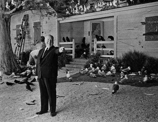 The Birds The Birds Year : 1963 - USA Director : Alfred Hitchcock Alfred Hitchcock. It is forbidden to reproduce the photograph out of context of the promotion of the film. It must be credited to the Film Company and or the photographer assigned by or authorized by allowed on the set by the Film Company. Restricted to Editorial Use. Photo12 does not grant publicity rights of the persons represented. Copyright: xPhoto12 WolfTracerArchivex A7B12A04_198