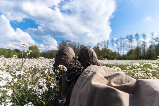 IMAGO Creative, Jahreszeit Frühling, Licht und Sonne natural green colorful rural meadow, nature series , 22364166.jpg, agriculture, background, beautiful, beauty, blue, bright, cloud, cloudscape, color, colorful, country, countryside, day, environment, farm, field, flower, freedom, fresh, grass, grassland, green, growth, horizon, land, landscape, lawn, leaf, light, meadow, morning, natural, nature, outdoor, plant, rural, scene, season, sky, spring, summer, sun, sunlight, sunny, sunrise, sunset, tree, weather, white, yellow,