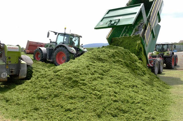 Anfahren und Verdichten von Gruenroggen auf einer Biogasanlage zur Herstellung von Strom im Nordharz. Gruenroggen ist eine Silage aus unreifem Roggen. Sie dient als Grundfuttermittel vor allem fuer Wiederkaeuer sowie als Gaersubstanz in Biogasanlagen (Energiegras). GPS-verdichten auf einer Biogasanlage *** Start-up and compaction of green rye on a biogas plant for the production of electricity in the northern Harz region Green rye is a silage made from immature rye It is used as a basic feedstuff, especially for ruminants, and as a digestate in biogas plants Energy grass GPS compaction on a biogas plant