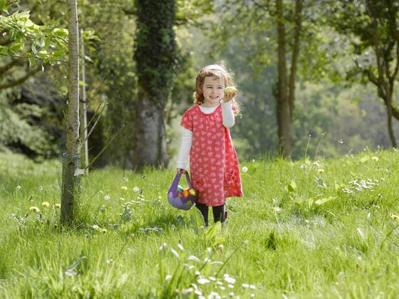 Girl hunting for Easter eggs, 13.01.2012, Copyright: xARBx carrying,walking,searching,brown hair,copy space,focus on foreground,front view,full length,beginnings,childhood,traditional,achievement,carefree,festive,success,excitement,happiness,full,basket,easter egg,child,caucasian ethnicity,girl,one person,outdoors,field landscape,spring season,day,easter,smiling,leisure,gathering,egg,only female,finding,easter egg hunt,Collecting,Walking,Holding,Carrying,Searching,Caucasian Ethnicity,Child,Human Egg,Female,Girls,Girl,Achievement,Success,Beginnings,Carefree,Childhood,Enjoyment,Festivity,Excitement,Traditional,Wellbeing,Happiness,Full,One Person,Smiling,Easter,Copy Space,Full Length,Point Of View,Front View,Camera Focus,Selective Focus,Foc 39arb0055rf