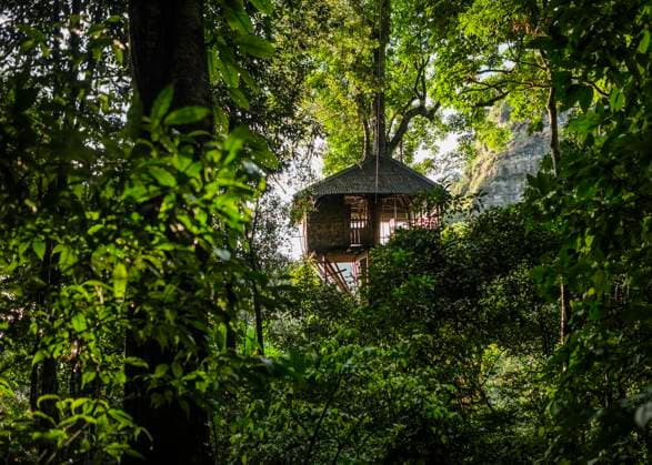 IMAGO Creative, Leben im Bamhaus Treehouse, Ban Nongluang National Park, Champassak province, Paksong, Laos, 11.11.2016, Copyright: xRosannaxUx adventure,exploration,attraction,awe,idyllic,peaceful,tranquil,nature,picturesque,foliage,tree,outdoors,rainforest,national park,tree house,scenics,day,wilderness,nobody,travel,adventure travel,travel destination,laos,beauty in nature,lush green,lush foliage,December 2016 Release,champassak province,paksong,ban nongluang,Adventure,Amazement,Awe,Mood,Calm,Idyllic,Passion,Love At First Sight,Lush Foliage,No People,Asia,East Asia,South East Asia,Plant Part,Leaf,Bush,Tree,Toy,Tree House,Symbol,Orthographic Symbol,Numeral,Wilderness Area,Woodland,Forest,Tropical Forest,Outdoors,Day,Exploration,Nature,Beauty In Nature,Scenics,Travel,P IS09B38M5