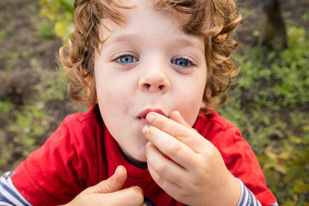 Creative Highlights Symbolbilder Portrait of boy eating grapes in vineyard, 27.02.2017, Copyright: xheshphotox, model released, , property released, harvesting,eating,wearing,looking at camera,working,red,front view,head and shoulders,portrait,childhood,real people,healthy eating,innocence,getting away from it all,nature,fresh,child,blue eye,male,boy,only one boy,one person,italy,sicily,outdoors,vineyard,island,rural,day,casual clothing,t-shirt,grapes,travel,organic farm,4 to 5 years,italian,only male,simple living,sicilian culture,sicilian food,February 2017 Release,Harvesting,Consuming Food,Eating,Working,Caucasian Ethnicity,Italian Ethnicity,Child,Elementary Age,4-5 Years,Male,Boys,Childhood,Freshness,Innocence,Getting Away From It All,Red,One Person,Southern Europe,I IS09B545I