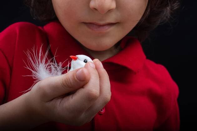 Creative Highlights Symbolbilder Kleiner Junge hält einen gefälschten weißen Vogel auf dunklem Hintergrund *** Kleiner Boy holds a fake white Vogel at dark Background Copyright: imageBROKER/TurgayxKoca ibltyk08178089.jpg ,model released, Symbolfoto ,property released