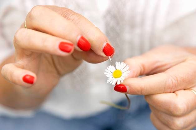 Hands of woman plucking petal from daisy flower model released, Symbolfoto, EIF03961