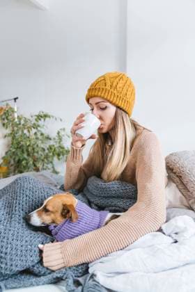 Young woman wearing wooly hat drinkig hot tea sitting in bed with dog model released, Symbolfoto property released, KMKF01816