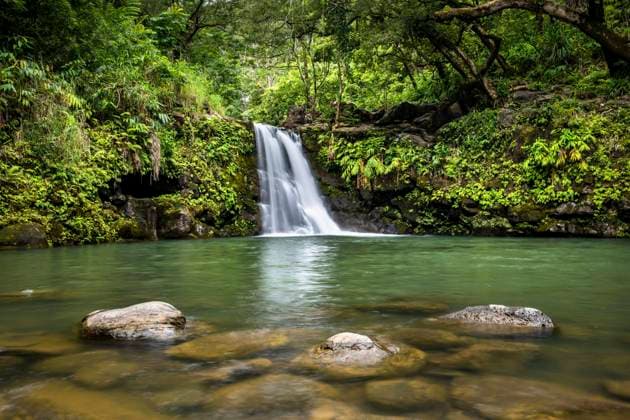  Wasserfall entlang der Road to Hana, Maui, Hawaii, USA, Nordamerika *** Waterfall along the Road to hana, maui, Hawaii, USA, North America Copyright: imageBROKER/RobertxHaasmann ibxroh08275137.jpg
