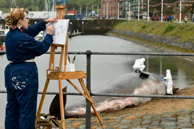 News Themen der Woche KW21 Entertainment Bilder des Tages . 26 05 2022. Whitehaven, United Kingdom. The Why of The Whale art installation. Belgian arts company The Captain Boomer Collective install a life size model of a male Sperm Whale in Whitehaven marina in Cumbria. The touring collaboration with Eden Arts brings together humans and nature. People viewing the piece questioned whether the whale was real or not. Artist Alex Jakob-Whitworth sketches the whale.  xStuartxWalkerx xi-Imagesx IIM-23452-0001