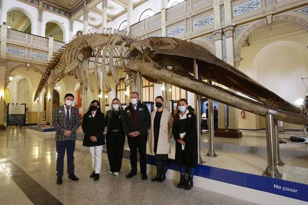 Santiago, May 27, 2022 The National Museum of Natural History located in the district of Quinta Normal, presents the evolutionary history of cetaceans on Heritage Day Mario Ruiz Ministry of Cultures, Arts and Heritage via Aton Chile, Santiago Chile Aton 610718  Copyright: MarioxRuiz MinisterioxdexlasxCulturas,xlasxArtesxyxelxPatrimonioxviaxAtonxChile