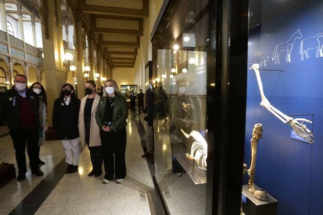 Santiago, May 27, 2022 The National Museum of Natural History located in the district of Quinta Normal, presents the evolutionary history of cetaceans on Heritage Day Mario Ruiz Ministry of Cultures, Arts and Heritage via Aton Chile, Santiago Chile Aton 610698  Copyright: MarioxRuiz MinisterioxdexlasxCulturas,xlasxArtesxyxelxPatrimonioxviaxAtonxChile