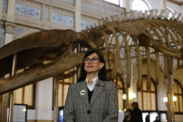 Santiago, May 27, 2022 The National Museum of Natural History located in the district of Quinta Normal, presents the evolutionary history of cetaceans on Heritage Day Mario Ruiz Ministry of Cultures, Arts and Heritage via Aton Chile, Santiago Chile Aton 610716  Copyright: MarioxRuiz MinisterioxdexlasxCulturas,xlasxArtesxyxelxPatrimonioxviaxAtonxChile