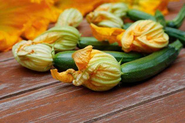 IMAGO Creative, Food, Zucchiniblüten Süddeutsche Küche, frische Zucchiniblüten mit Zucchini (Cucurbita pepo var. giromontiina) auf Holzplatte, vegetarisch, gesunde Küche, kochen, Gemüse, Deutschland, Europa *** Süddeutsche Kitchen, Freshness Zucchini flowers with Zucchini Cucurbita Pepo Var giromontiina at wooden panel, vegetarian, Healthy Kitchen, Cook, Vegetables, Germany, Europe Copyright: imageBROKER KatharinaxHild ibxkah07209626.jpg