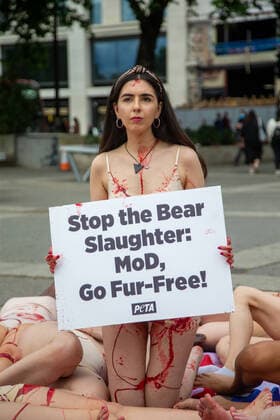 Bilder des Jahres 2022, News 05 Mai News Themen der Woche KW21 News Bilder des Tages May 28, 2022, London, England, United Kingdom: PETA supporters wearing little more than bear masks and lying on Ã¢â‚¬oebloodÃ¢â‚¬Â-soaked Union Jack flags will held a bloody Ã¢â‚¬oedie-inÃ¢â‚¬Â at Marble Arch to protest the UK Ministry of DefenceÃ¢â‚¬â ¢s (MoD) support of the slaughter of Canadian black bears, whose fur is used to make the caps worn by the QueenÃ¢â‚¬â ¢s Guard. London United Kingdom - ZUMAs262 20220528_zip_s262_019 Copyright: xTayfunxSalcix