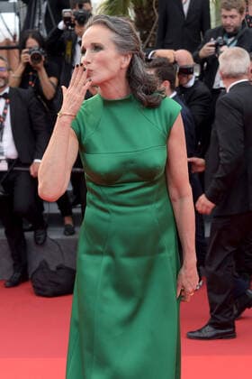 75th Cannes Film Festival 2022, red carpet Closing Ceremony Pictured: Andie MacDowell  Copyright: xAlbertoxTerenghix xipa-agency.nex xVeneziax2020x