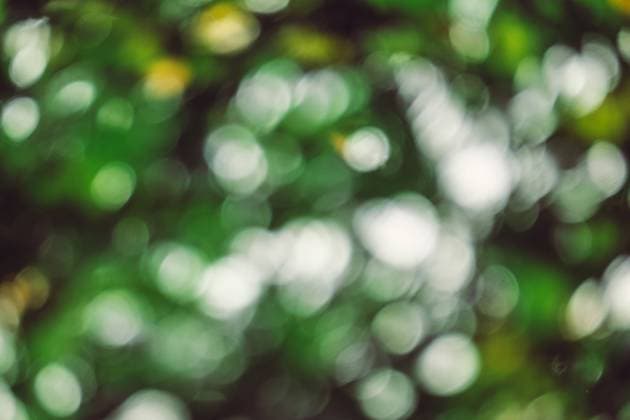 IMAGO Creative, Jahreszeit Frühling, Licht und Sonne abstract natural blur background, defocused leaves, bokeh, nature background , 20532682.jpg, abstract, background, bokeh, leaves, sunlight, shine, defocused, foliage, natural, vibrant, greenery, green, spring, sparkle, blank, glowing, concept, yellow, botanical, bright, shimmer, circle, glitter, ecology, summer, light, glow, sun, blurred, fuzzy, season, flora, round, backdrop, garden, design, color, colorful, outdoors, blur, diffused, art, effect, beautiful, nature, pattern, brilliance,