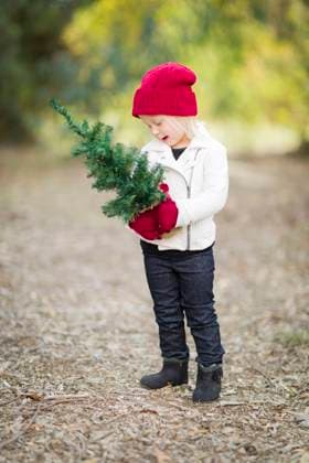 Baby Girl In Red Mittens and Cap Holding Small Christmas Tree Outdoors., model released, , 20814674.jpg, girl, caucasian, cheerful, child, childhood, toddler, little, preschool, outdoors, outside, youth, young, kid, female, baby, daughter, Christmas, Season, holiday, festive, fall, winter, red, xmas, park, tree, small, warm, mittens, gloves, helping, abstract, farm, field, happy, choosing, holding, Christmas Tree, cap, hat,