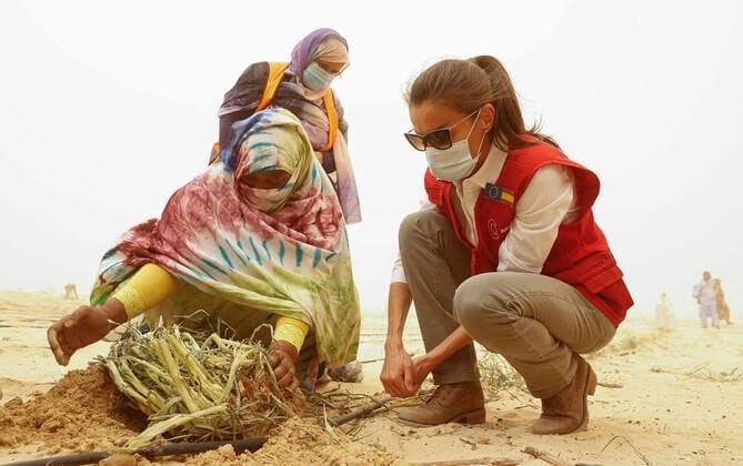 Bilder des Jahres 2022, Entertainment 06 Juni Entertainment Themen der Woche KW22 Entertainment Bilder des Tages Königin Letizia zu Besuch in Mauretanien - Tag 2 Queen Letizia of Spain (R) visits a project for the setting up of orchards in the desert, funded by Spanish Cooperation, in Nouakchott, on the last day of her trip to Mauritania, 02 June 2022. Queen Letizia of Spain visits Mauritania !ACHTUNG: NUR REDAKTIONELLE NUTZUNG!  Copyright: xChemaxMoyax GRAF4684 20220602-9ca196fdb9680f51b184c96a33a58b240404747c