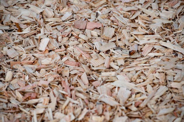 IMAGO Nature: Unsere Erde, Energiequellen, Biomasse Hackschnitzel aus Holz, Energiegewinnung, Feature, Randmotive, Symbolfoto, in Duisburg, 02.06.2022, *** Wood chips from wood, energy production, feature, marginal motifs, symbol photo, in Duisburg, 02 06 2022,