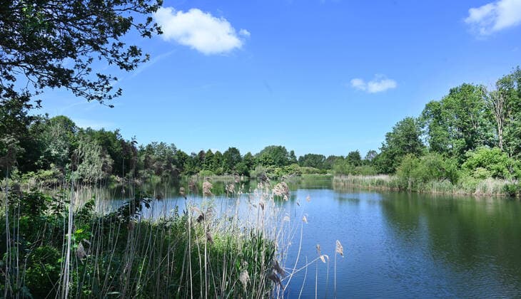 Lelystad ist die Hauptstadt der Provinz Flevoland NLD, Niederlande, Lelystad: Lelystad ist die Hauptstadt der Provinz Flevoland , hier am 1.6.2022, und wurde erst 1967 gegründet auf dem Polder. Das Land wurde durch Entwaesserung gewonnen.Nationalpark Lelystad. NLD, Netherlands, Lelystad: Lelystad is the capital of Flevoland Province , here on 1.6.2022, and was founded only in 1967 on the polder. The land was gained by drainage. Flevoland *** Lelystad is the capital of Flevoland Province NLD, Netherlands, Lelystad Lelystad is the capital of Flevoland Province , here on 1 6 2022, and was founded only in 1967 on the polder The land was gained by drainage National Park Lelystad NLD, Netherlands, Lelystad Lelystad is the capital of Flevoland