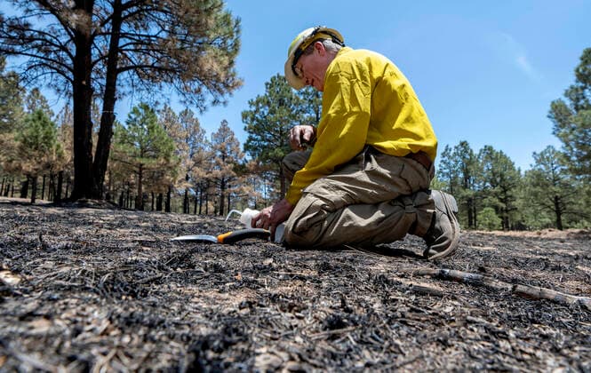 June 7, 2022, USA: Kit MacDonald, a soil scientist with the National Forest Services, along with other members of the BAER team assessing the flood potential after the Calf Canyan Hermits Peak Fire, demonstrates how they examine the burned forest floor. Here he watches to see how long it take water to absorb into the ground. They are demonstrating at the Mora National Fish Hatchery Tuesday June 7, 2022. USA - ZUMAab1_ 20220607_zaf_ab1_025 Copyright: xEddiexMoorex