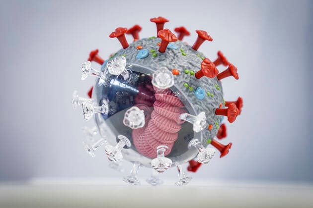 Symbolbild Coronavirus Symbolfoto Coronavirus - Infektion;Corona Virus, Sars-Cov2, neue Mutante, BA.5 - Corona Virus Modell der Firma PHYWE Deutschland *** Symbol image coronavirus symbol photo coronavirus infection corona virus, sars cov2, new mutant, BA 5 corona virus model of the company PHYWE Germany
