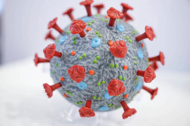 Symbolbild Coronavirus Symbolfoto Coronavirus - Infektion;Corona Virus, Sars-Cov2, neue Mutante, BA.5 - Corona Virus Modell der Firma PHYWE Deutschland *** Symbol image coronavirus symbol photo coronavirus infection corona virus, sars cov2, new mutant, BA 5 corona virus model of the company PHYWE Germany