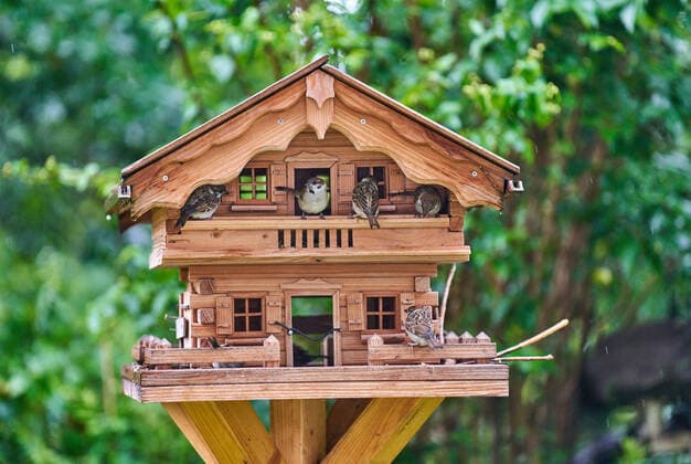 Young baby sparrows sit in the aviary and seek shelter in the rain in Marktoberdorf, Germany, June 9, 2022.