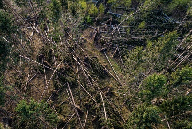 Waldsterben - von einem Sturm entwurzelte Nadelbäume liegen liegen kreuz und quer übereinander, Luftbild. Waldschäden vor allem in Nadelwäldern durch mehrere Jahre mit sehr wenig Niederschlag verbunden mit einer extremen Borkenkäferplage und starken Stürmen. Die geschädigten und bereits abestorbenen Fichtenbestände müssen zügig geräumt werden, um eine weitere Ausbreitung des Borkenkäfers zu verhindern. Aufnahme im Wiehengebirge unweit von Melle. Wiehengebirge Niedersachsen Deutschland *** Forest dieback from a storm uprooted coniferous trees lie crisscross on top of each other, aerial photo Forest damage especially in coniferous forests due to several years with very little precipitation combined with an extreme bark beetle inf