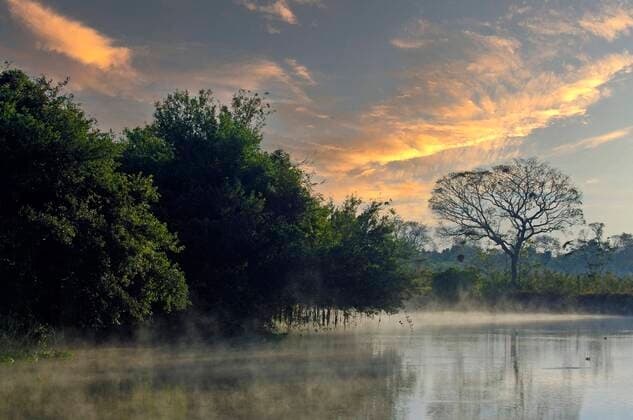 IMAGO Nature: Unsere Erde, Naturschutz, Naturschutzgebiete in Südamerika Typische Flusslandschaft bei Sonnenaufgang, Pantanal, Brasilien, Südamerika *** typical River landscape at Sunrise, pantal, Brazil, South America Copyright: imageBROKER/IngoxSchulz ibxisb08327540.jpg