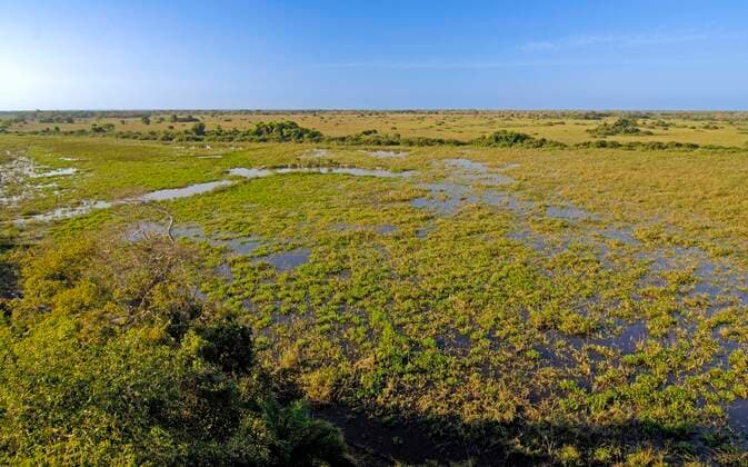 IMAGO Nature: Unsere Erde, Naturschutz, Naturschutzgebiete in Südamerika Landschaft am frühen Morgen, Pantanal, Brasilien, Südamerika *** Landscape on early Morning, pantal, Brazil, South America Copyright: imageBROKER/IngoxSchulz ibxisb08327545.jpg
