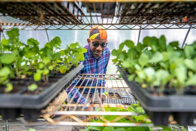 IMAGO Creative: 2022 Favoriten Urban Farming in Baltimore, United States Baltimore Maryland Copyright: xEdwinxRemsbergx ere_remsberg_22051846864