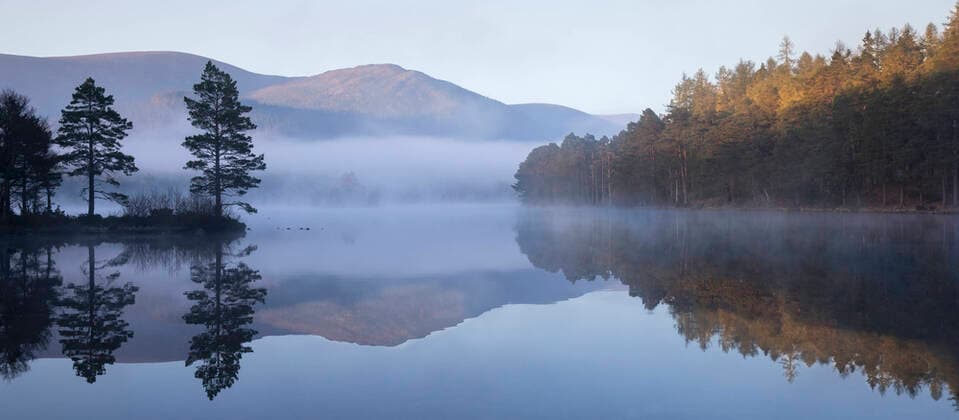 Loch an Eilein at dawn, Cairngorms National Park, Scotland, UK, April 2017  1573475 SCOTLAND:xThexBigxPicture