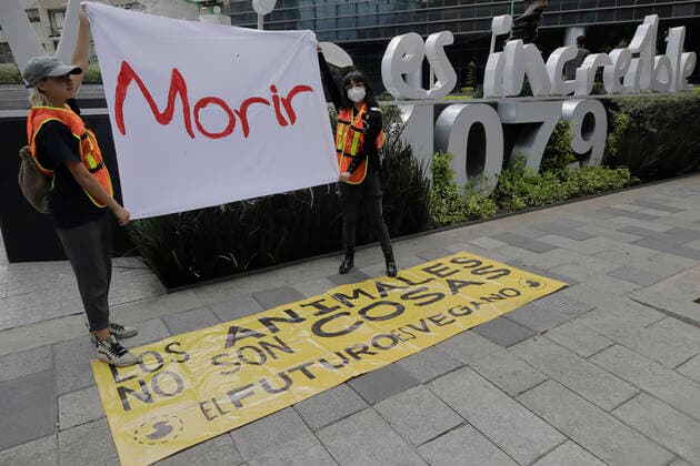 Activists Demand An End To Bullfighting In Mexico City Members of a group in favor of animals demonstrate in front of the facilities of GNP Seguros (partner and sponsor of Plaza MÃ xico) on Avenida de los Insurgentes in Mexico City, to demand an end to bullfighting in Mexico. Mexico City Mexico City Mexico  Copyright: xGerardoxVieyrax originalFilename: vieyra-notitle220617_np5yI.jpg
