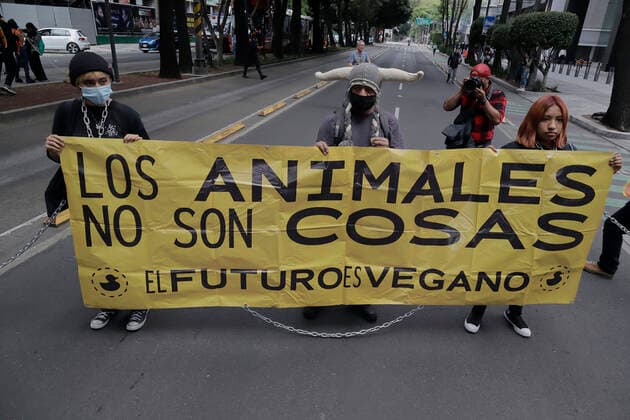 Activists Demand An End To Bullfighting In Mexico City Members of a group in favor of animals demonstrate chained and carrying blankets in front of the facilities of GNP Seguros (partner and sponsor of Plaza MÃ xico) on Avenida de los Insurgentes in Mexico City, to demand an end to bullfights. bulls in Mexico. Mexico City Mexico City Mexico  Copyright: xGerardoxVieyrax originalFilename: vieyra-notitle220617_npYw1.jpg